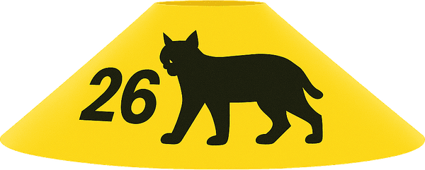 Balise lynx